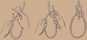 bowline